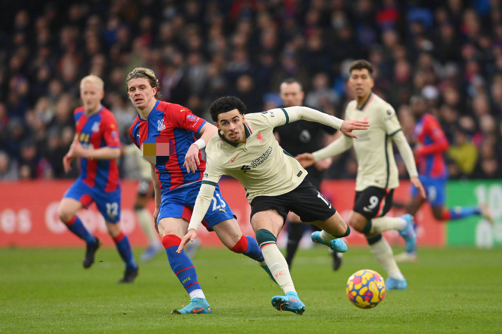 疑是一场视 疑是一场视